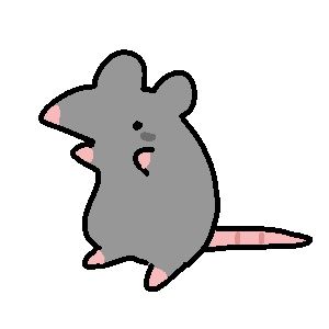 Animal4