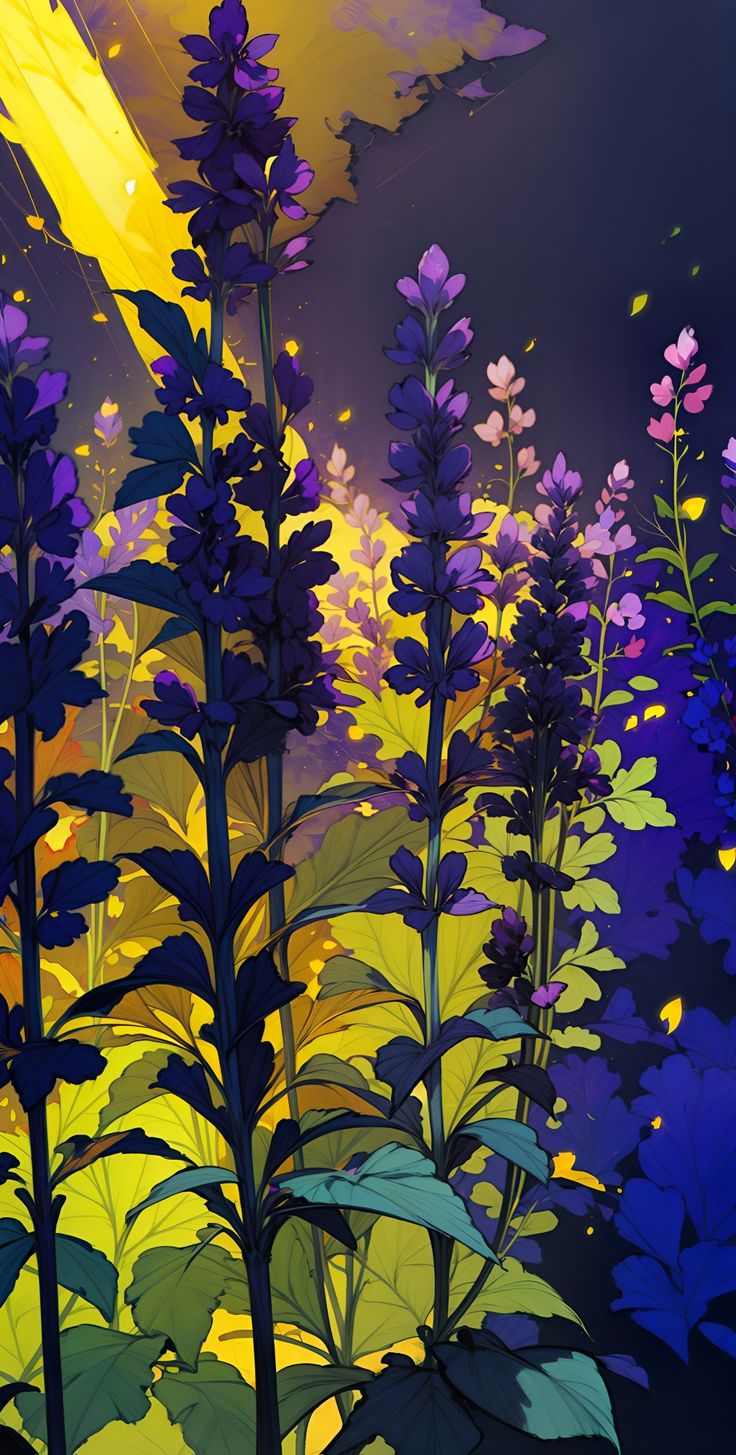 Fondo1