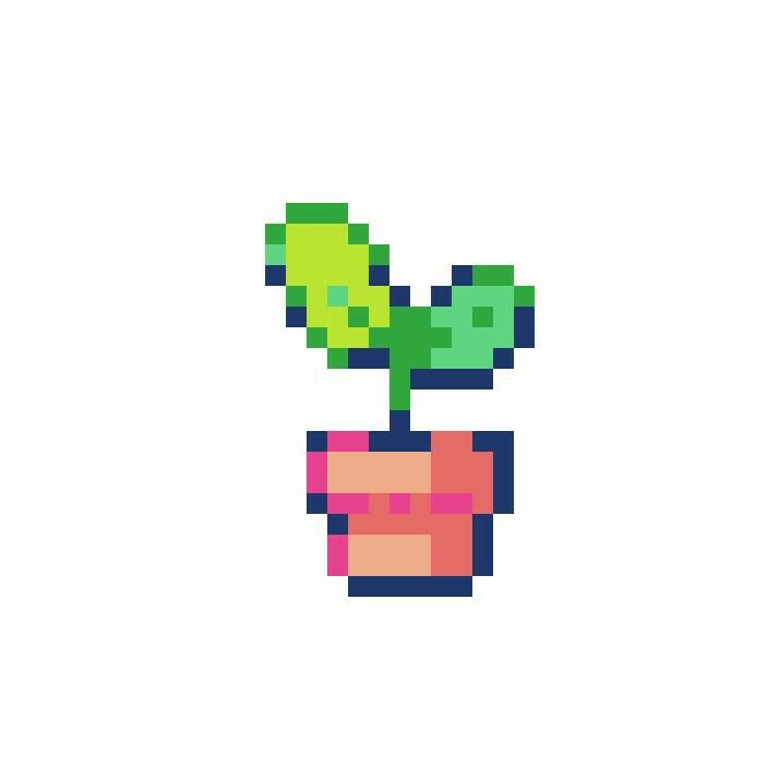 Planta1